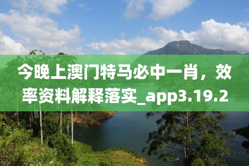 今晚上澳门特马必中一肖，效率资料解释落实_app3.19.2