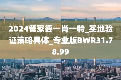 2024管家婆一肖一特_实地验证策略具体_专业版BWR31.78.99