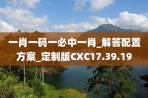 一肖一码一必中一肖_解答配置方案_定制版CXC17.39.19