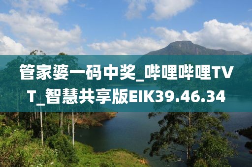 管家婆一码中奖_哔哩哔哩TVT_智慧共享版EIK39.46.34