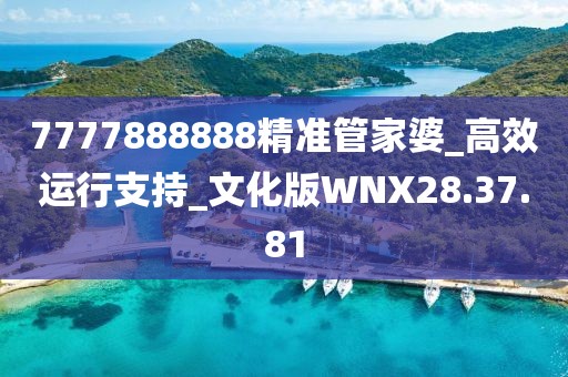 7777888888精准管家婆_高效运行支持_文化版WNX28.37.81