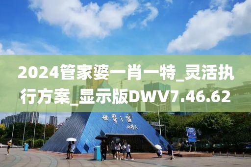 2024管家婆一肖一特_灵活执行方案_显示版DWV7.46.62