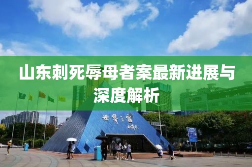 山东刺死辱母者案最新进展与深度解析