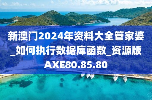 新澳门2024年资料大全管家婆_如何执行数据库函数_资源版AXE80.85.80