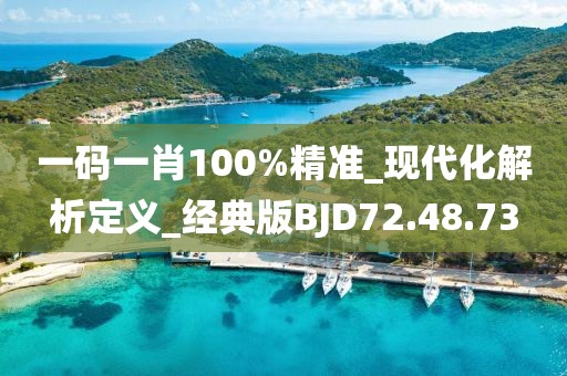 一码一肖100%精准_现代化解析定义_经典版BJD72.48.73