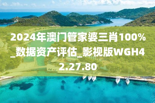 2024年澳门管家婆三肖100%_数据资产评估_影视版WGH42.27.80