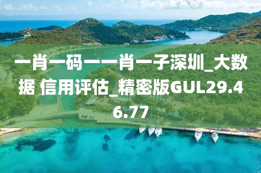 一肖一码一一肖一子深圳_大数据 信用评估_精密版GUL29.46.77