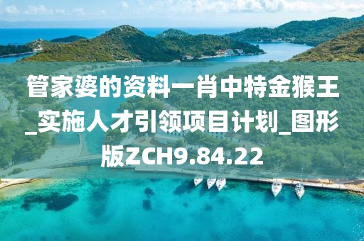 管家婆的资料一肖中特金猴王_实施人才引领项目计划_图形版ZCH9.84.22