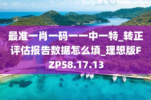 最准一肖一码一一中一特_转正评估报告数据怎么填_理想版FZP58.17.13