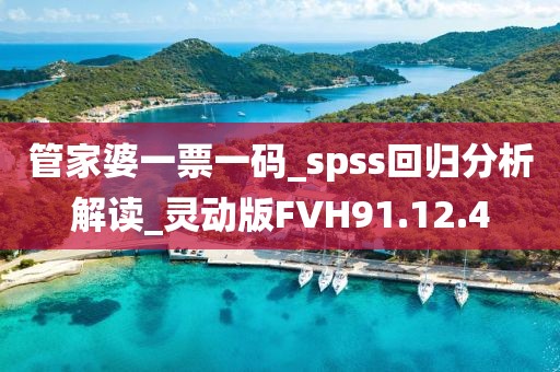 管家婆一票一码_spss回归分析解读_灵动版FVH91.12.4
