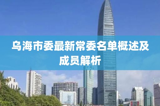 乌海市委最新常委名单概述及成员解析