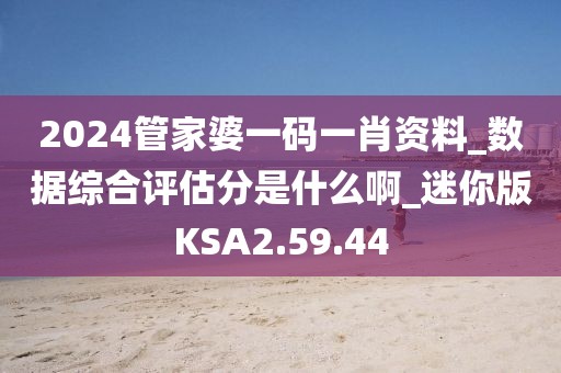 2024管家婆一码一肖资料_数据综合评估分是什么啊_迷你版KSA2.59.44