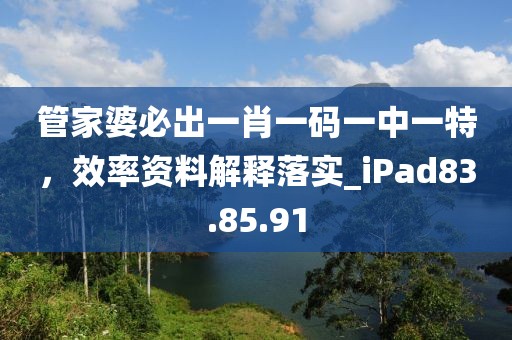 管家婆必出一肖一码一中一特，效率资料解释落实_iPad83.85.91