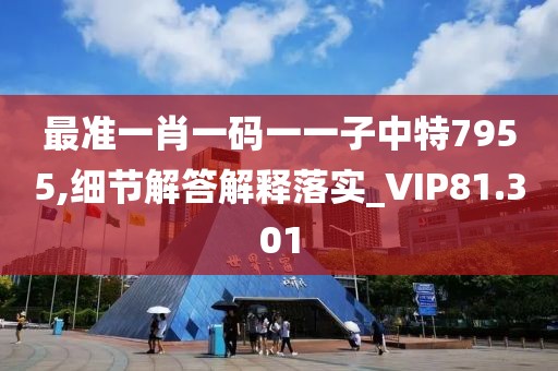 最准一肖一码一一子中特7955,细节解答解释落实_VIP81.301