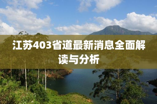 江苏403省道最新消息全面解读与分析