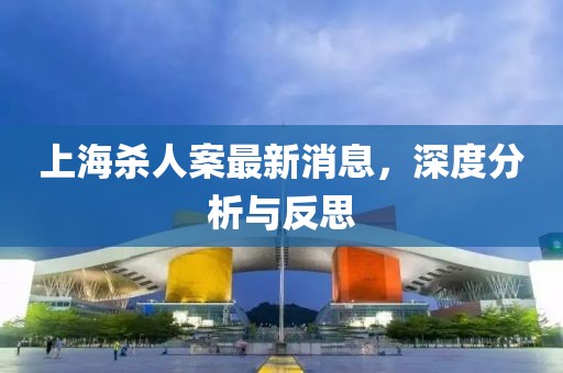 上海杀人案最新消息，深度分析与反思