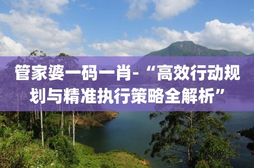 管家婆一码一肖-“高效行动规划与精准执行策略全解析”