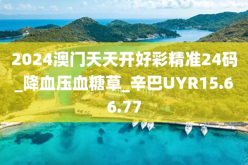 2024澳门天天开好彩精准24码_降血压血糖草_辛巴UYR15.66.77
