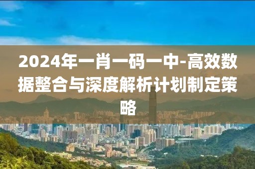 2024年一肖一码一中-高效数据整合与深度解析计划制定策略