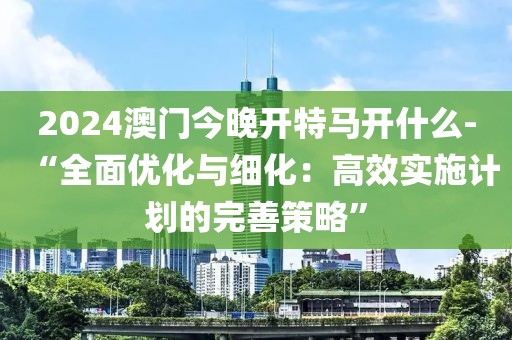2024澳门今晚开特马开什么-“全面优化与细化：高效实施计划的完善策略”