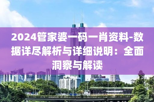 2024管家婆一码一肖资料-数据详尽解析与详细说明：全面洞察与解读