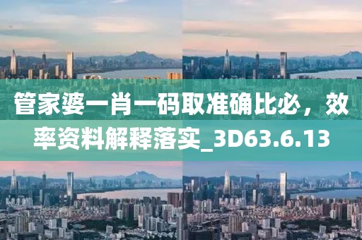 管家婆一肖一码取准确比必，效率资料解释落实_3D63.6.13