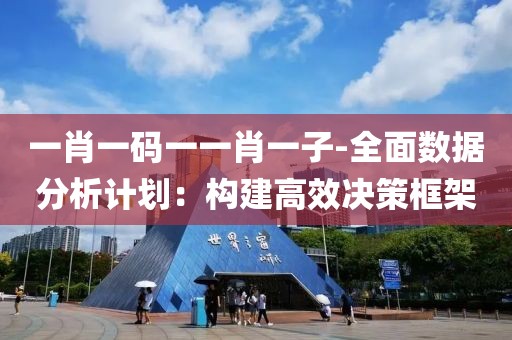 一肖一码一一肖一子-全面数据分析计划：构建高效决策框架