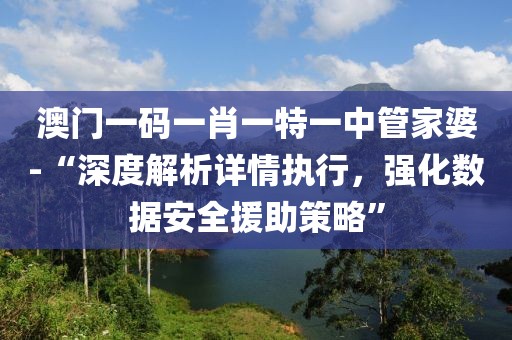 澳门一码一肖一特一中管家婆-“深度解析详情执行，强化数据安全援助策略”