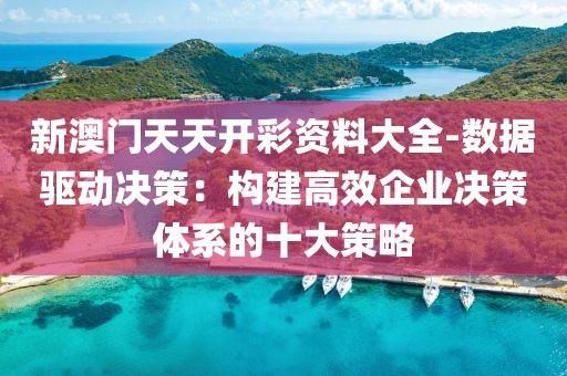 新澳门天天开彩资料大全-数据驱动决策：构建高效企业决策体系的十大策略