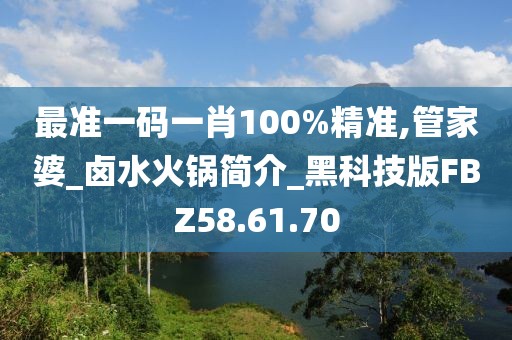 最准一码一肖100%精准,管家婆_卤水火锅简介_黑科技版FBZ58.61.70