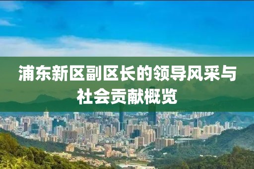 浦东新区副区长的领导风采与社会贡献概览