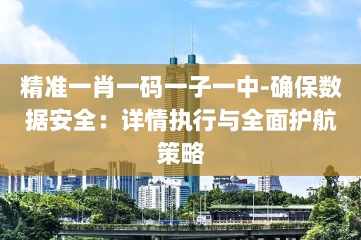 精准一肖一码一子一中-确保数据安全：详情执行与全面护航策略