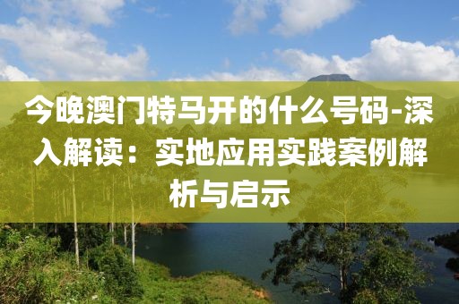 今晚澳门特马开的什么号码-深入解读：实地应用实践案例解析与启示