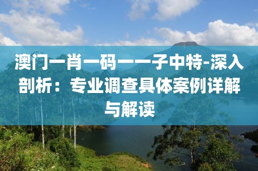 澳门一肖一码一一子中特-深入剖析：专业调查具体案例详解与解读