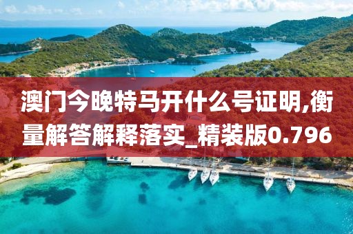 澳门今晚特马开什么号证明,衡量解答解释落实_精装版0.796