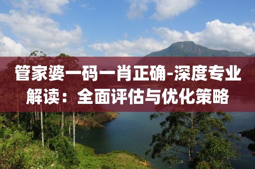 管家婆一码一肖正确-深度专业解读：全面评估与优化策略