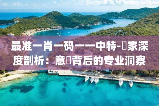 最准一肖一码一一中特-專家深度剖析：意見背后的专业洞察