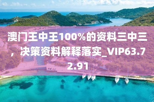 澳门王中王100%的资料三中三，决策资料解释落实_VIP63.72.91