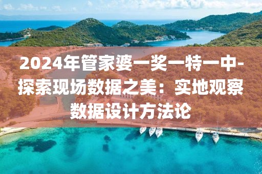 2024年管家婆一奖一特一中-探索现场数据之美：实地观察数据设计方法论