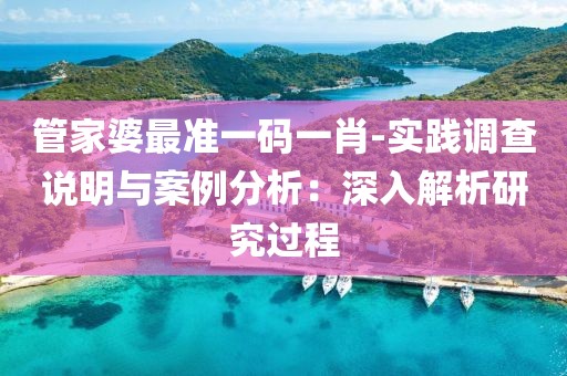 管家婆最准一码一肖-实践调查说明与案例分析：深入解析研究过程