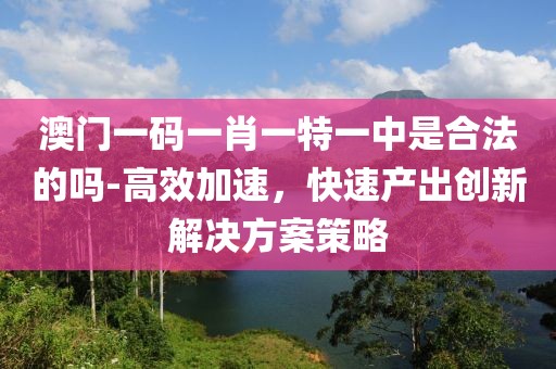 澳门一码一肖一特一中是合法的吗-高效加速，快速产出创新解决方案策略