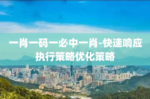 一肖一码一必中一肖-快速响应执行策略优化策略