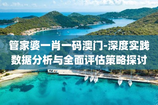 管家婆一肖一码澳门-深度实践数据分析与全面评估策略探讨