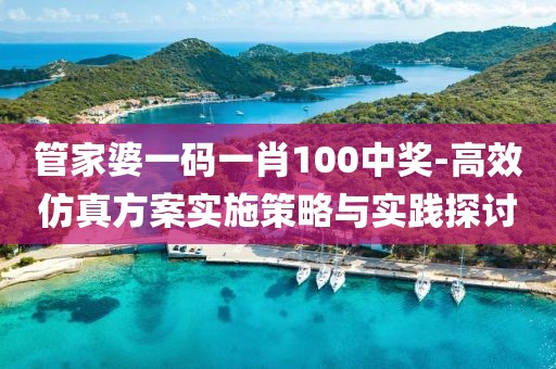 管家婆一码一肖100中奖-高效仿真方案实施策略与实践探讨
