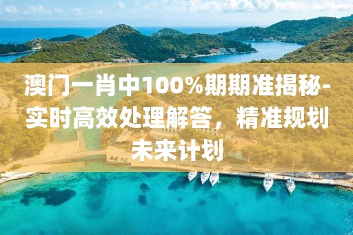 澳门一肖中100%期期准揭秘-实时高效处理解答，精准规划未来计划