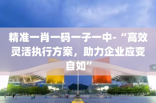 精准一肖一码一子一中-“高效灵活执行方案，助力企业应变自如”