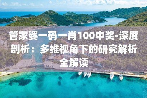 管家婆一码一肖100中奖-深度剖析：多维视角下的研究解析全解读
