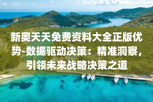 新奥天天免费资料大全正版优势-数据驱动决策：精准洞察，引领未来战略决策之道