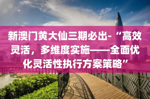 新澳门黄大仙三期必出-“高效灵活，多维度实施——全面优化灵活性执行方案策略”