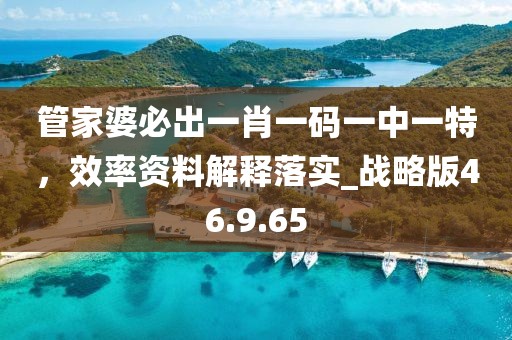 管家婆必出一肖一码一中一特，效率资料解释落实_战略版46.9.65